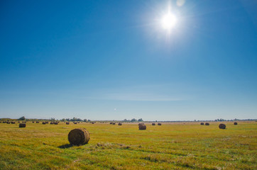 Landscape with haystacks in autumn