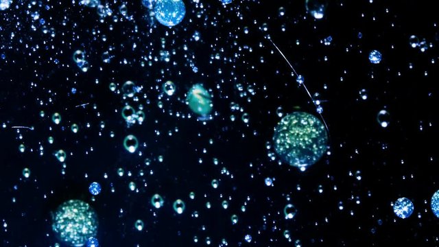 Oxygen Bubbles and Micro Life Forms are Born in Dark and Rich Ocean. Shot on RED EPIC-W 8K Helium Cinema Camera.