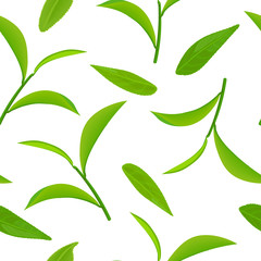 Green tea leaves and twigs, seamless pattern vector, isolated on white background