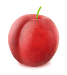 Fresh red plum isolated