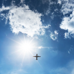 Airplane in the sky