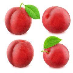 Set of juicy red plums isolated