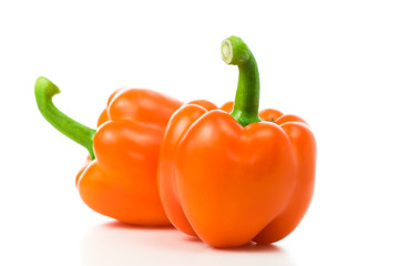 Saftige Paprika, Close up