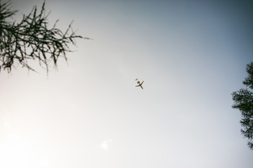 Flying in the sky plane. Belly plane against sky background