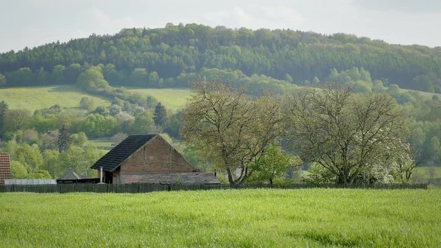 View of village farmhouse in idyllic countryside with meadows, forests and fields. Medieval solitary house in long shot. Old agriculture farm with pasture, trees and wheat, in background wooded hill.