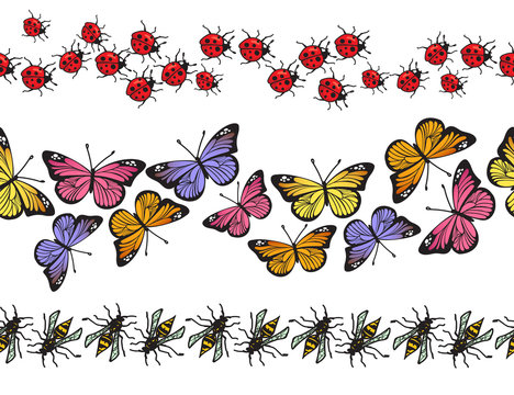 Seamless insect pattern border set isolated on white background. Butterflies, ladybugs and wasps decoration garland collection for your holiday design. Vector illustration