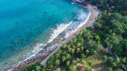 Sea and the beach