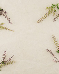 Basil flowers on white muslin fabric with copy space
