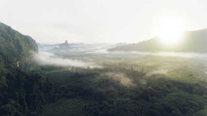Aerial view of rainforest with mist and sunlight in the morning.