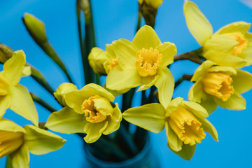 Obraz premium Narcissus flowers bouquet in a glass vase on natural wooden background. Mother's day.