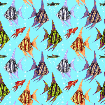 Angelfishes, Fancy Hi-fin Swordtai and Dwarf pencilfish, seamless pattern design, hand drawn doodle, sketch in pop art style, color illustration