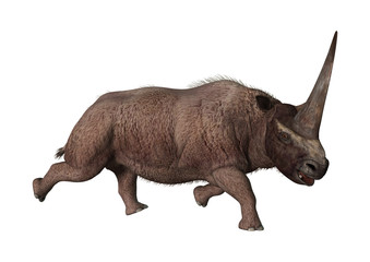 Naklejka premium 3D renderowania Elasmotherium na białym tle