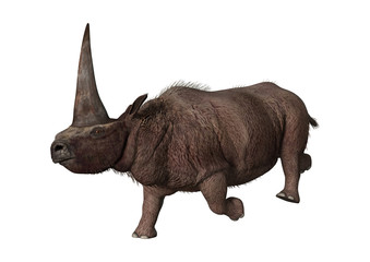 Obraz premium 3D Rendering Elasmotherium on White