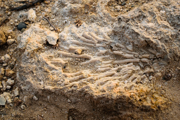 Erosed stone sandy texture