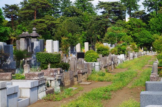 新緑の霊園
