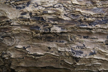 texture from stone