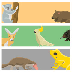 Australia wild animals cartoon popular nature characters flat style mammal collection vector illustration.