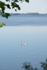 Natur pur am Ismaninger Speichersee - Panorama im Frühling