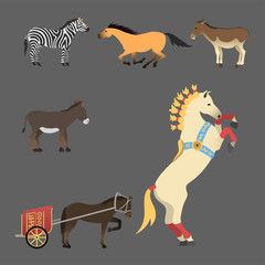 Horse pony stallion isolated different breeds color farm equestrian animal characters vector illustration.