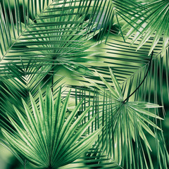 Palm leaves background