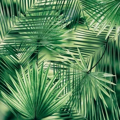 Hintergrund der Palmblätter © Africa Studio