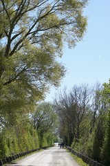 Natur pur am Ismaninger Speichersee - Panorama im Frühling