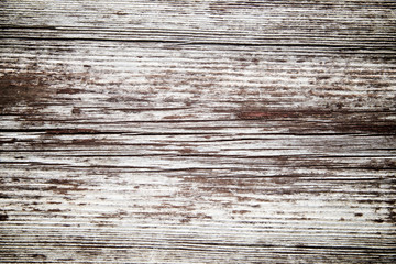 Wood background view