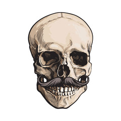 Hand drawn human skull with curled upward hipster moustache, sketch style vector illustration isolated on white background. Realistic front view hand drawing of human skull with moustache, whiskers