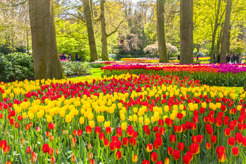 Keukemhof Romantic Blooming Gardens Landscape Lisse Holland