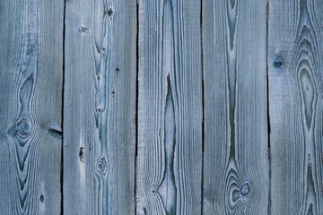 Texture of abstract brushed wood