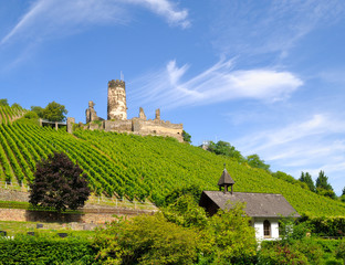 Fototapeta na wymiar Burg Fürstenberg, Unesco Weltkulturerbe Oberes Mittelrheintal, Rheinland-Pfalz, Deutschland, Europa