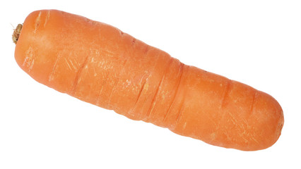 orange carrot isolated on white