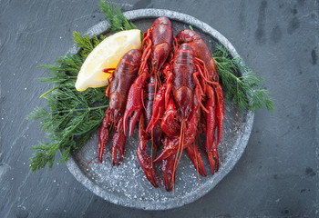 Frische Flusskrebse auf Schiefer