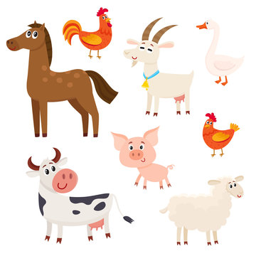 Set of farm animals - cow, sheep, horse, pig, goat, rooster, hen, goose, cartoon vector illustration isolated on white background, Set of cute and funny farm animals with friendly faces and big eyes
