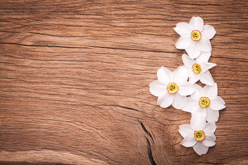 Decorative frame of dafodils