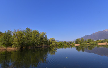 Fototapeta na wymiar Panorama del lago in mezzo alla palude in primavera con cielo blu