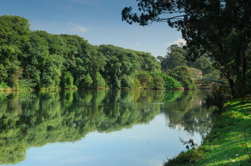 Vista parcial do lago do parque do Ibirapuera em São Paulo
