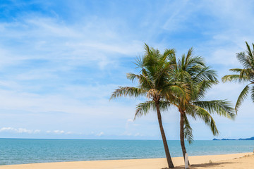 Fototapeta na wymiar Coconut palm tree and sky on tropical beach