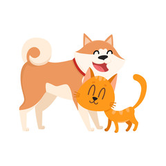 Akita inu dog and red cat, kitten characters, love, friendship concept, cartoon vector illustration isolated on white background. Lovely akita dog and red cat characters, love, friendship, tenderness