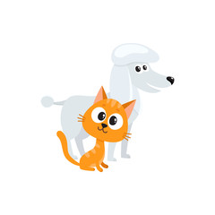 poodle dog dog and red cat, kitten characters, pets, friendship concept, cartoon vector illustration isolated on white background. poodle dog dog and red cat characters, friends
