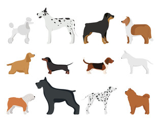 Funny cartoon dog character bread in cartoon style vector illustration.