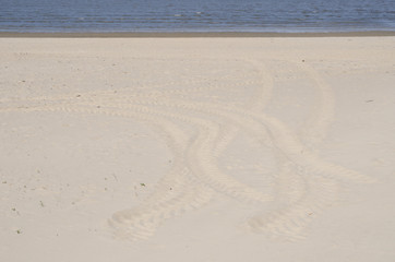 Reifenspuren am Strand