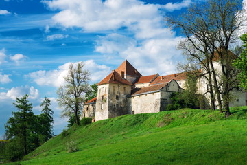 Fototapeta na wymiar Svirzh castle in Ukraine