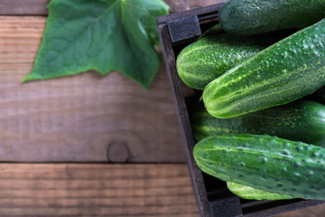 Cucumbers close-up in a wooden box on an old wooden table with copy space