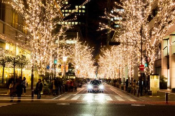 Tokyo City was decorated by lighting in the period of new year celebrities