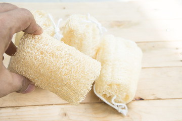 shower equipment made from fiber of zucchini on wood pallet