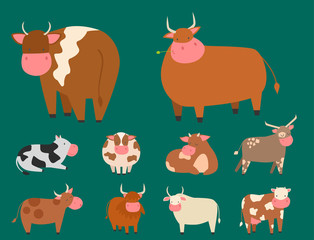 Bulls cows farm animal character vector illustration cattle mammal nature wild beef agriculture.