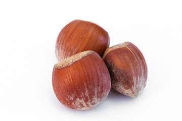 Haselnüsse