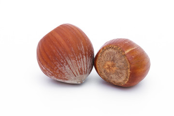 Haselnüsse