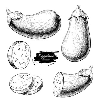 Eggplant hand drawn vector illustration set. Isolated Vegetable engraved style object with sliced pieces.